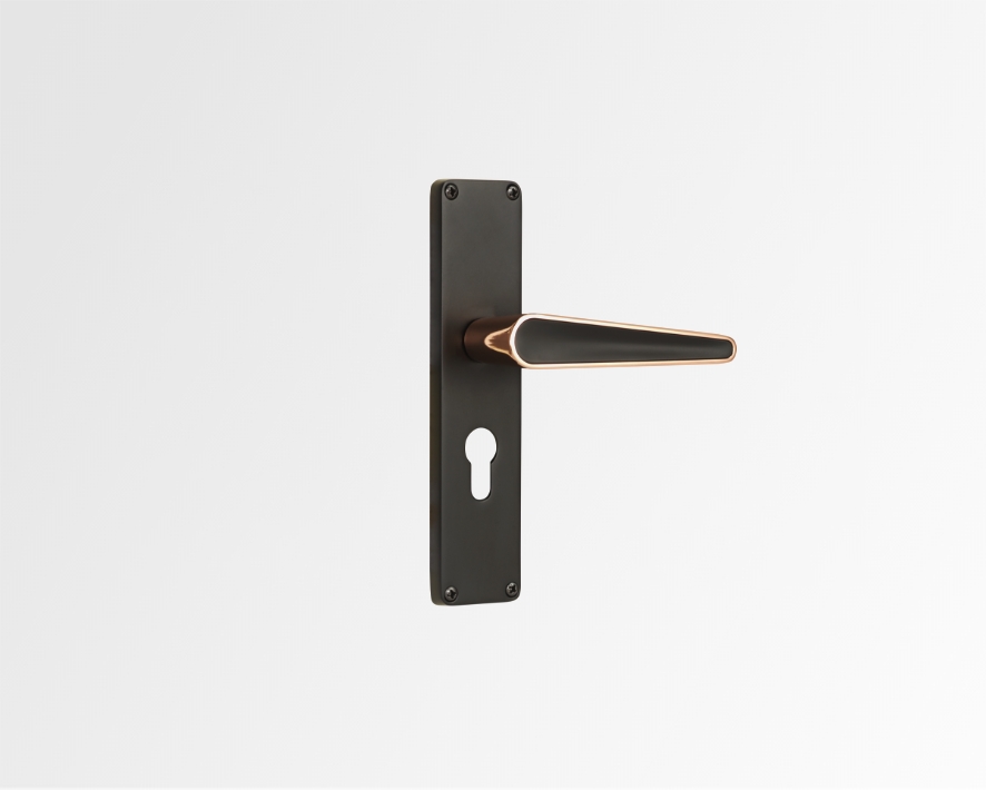 Godrej Mortise Lock 200MM I NEH 19 I Matte black rose Finish I Door Handle with Lock Set